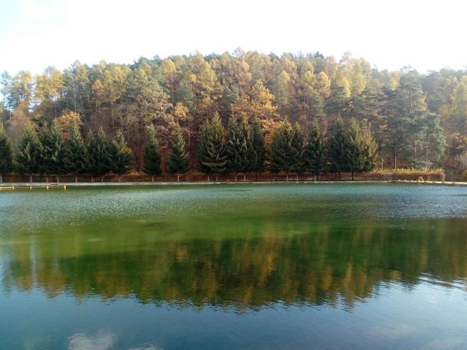 Vlci Dul Bludov Hotel Bludov  Buitenkant foto